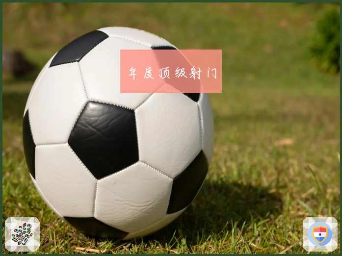 年度顶级射门
