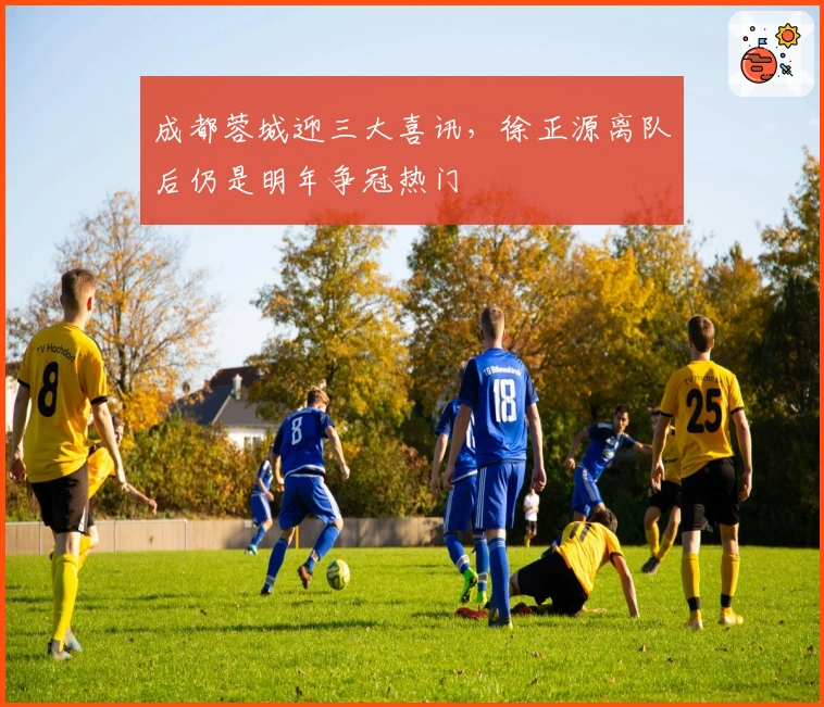 成都蓉城迎三大喜讯，徐正源离队后仍是明年争冠热门